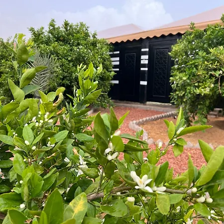 مزرعةبرتقالorange Farm Al Ula Exterior photo