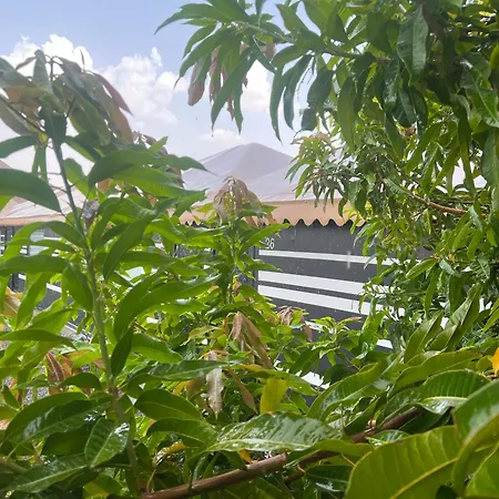 مزرعةبرتقالorange Farm Al Ula Exterior photo