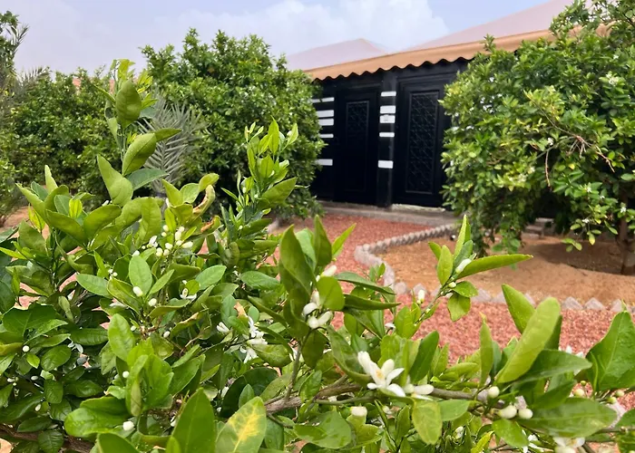 مزرعةبرتقالorange Farm