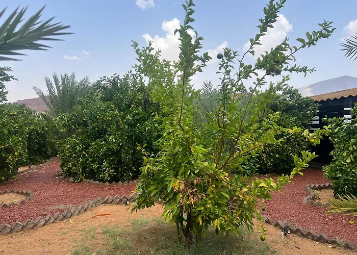 مزرعةبرتقالorange Farm