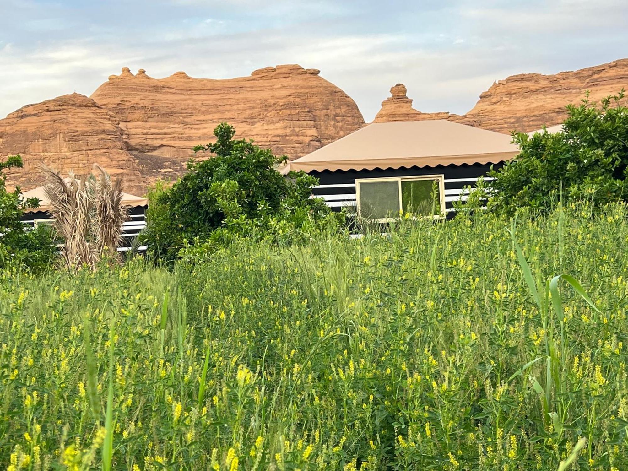 مزرعةبرتقالorange Farm Apartment *