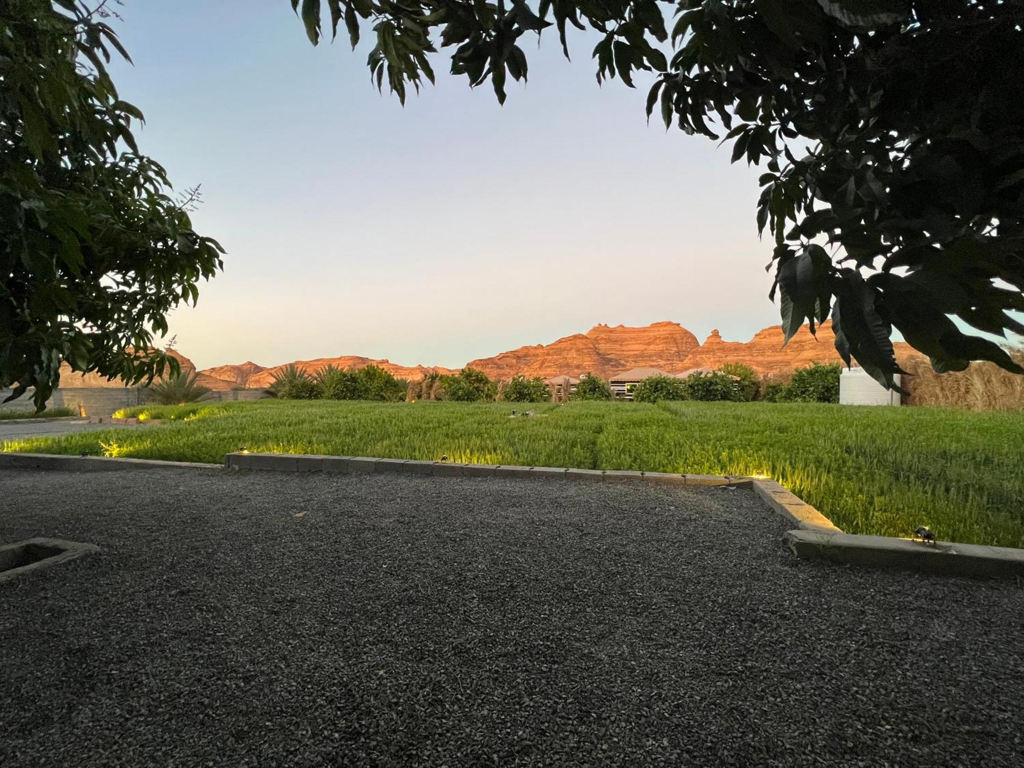 مزرعةبرتقالorange Farm Apartment Al Ula