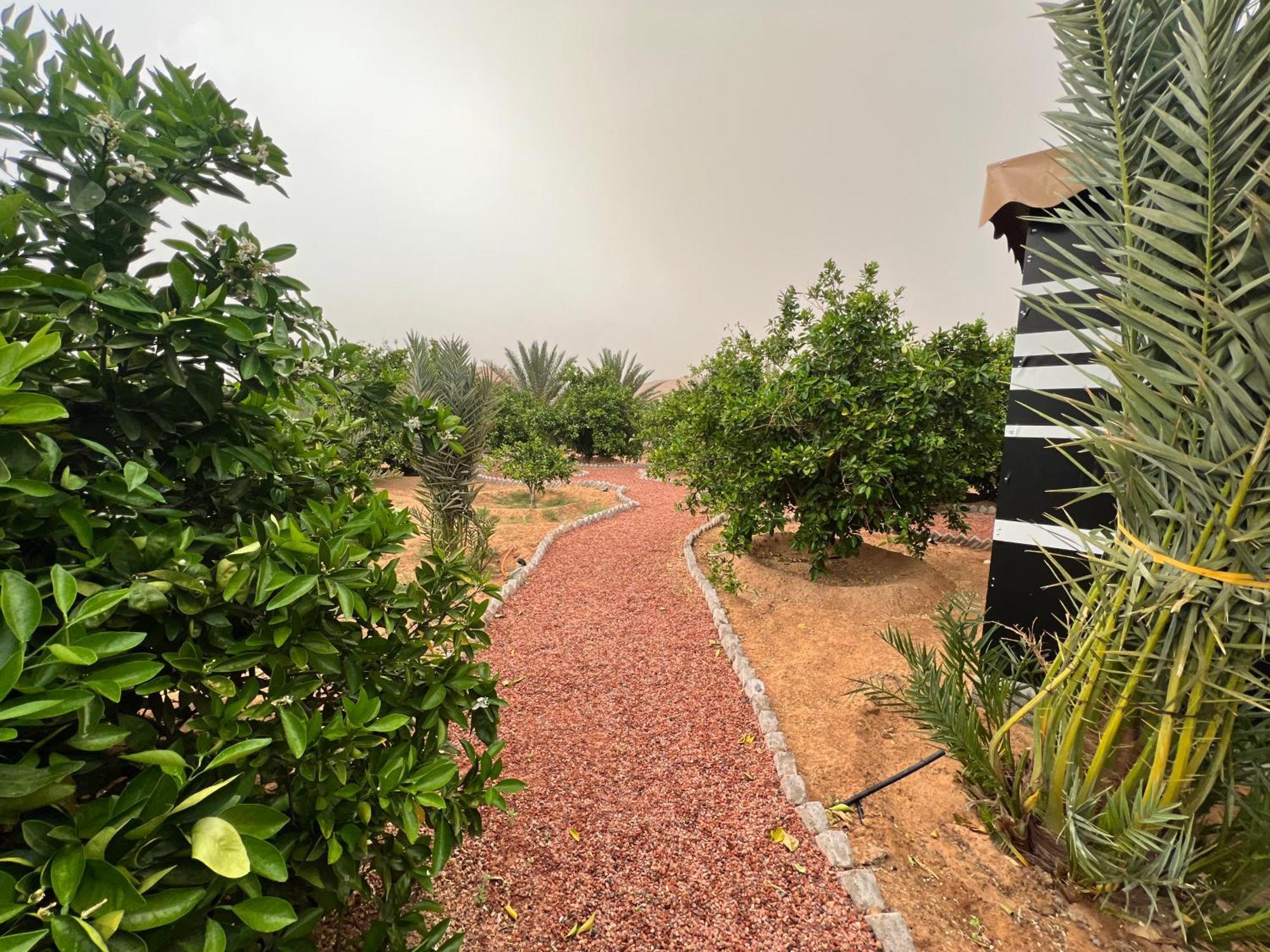 Apartment مزرعةبرتقالorange Farm *