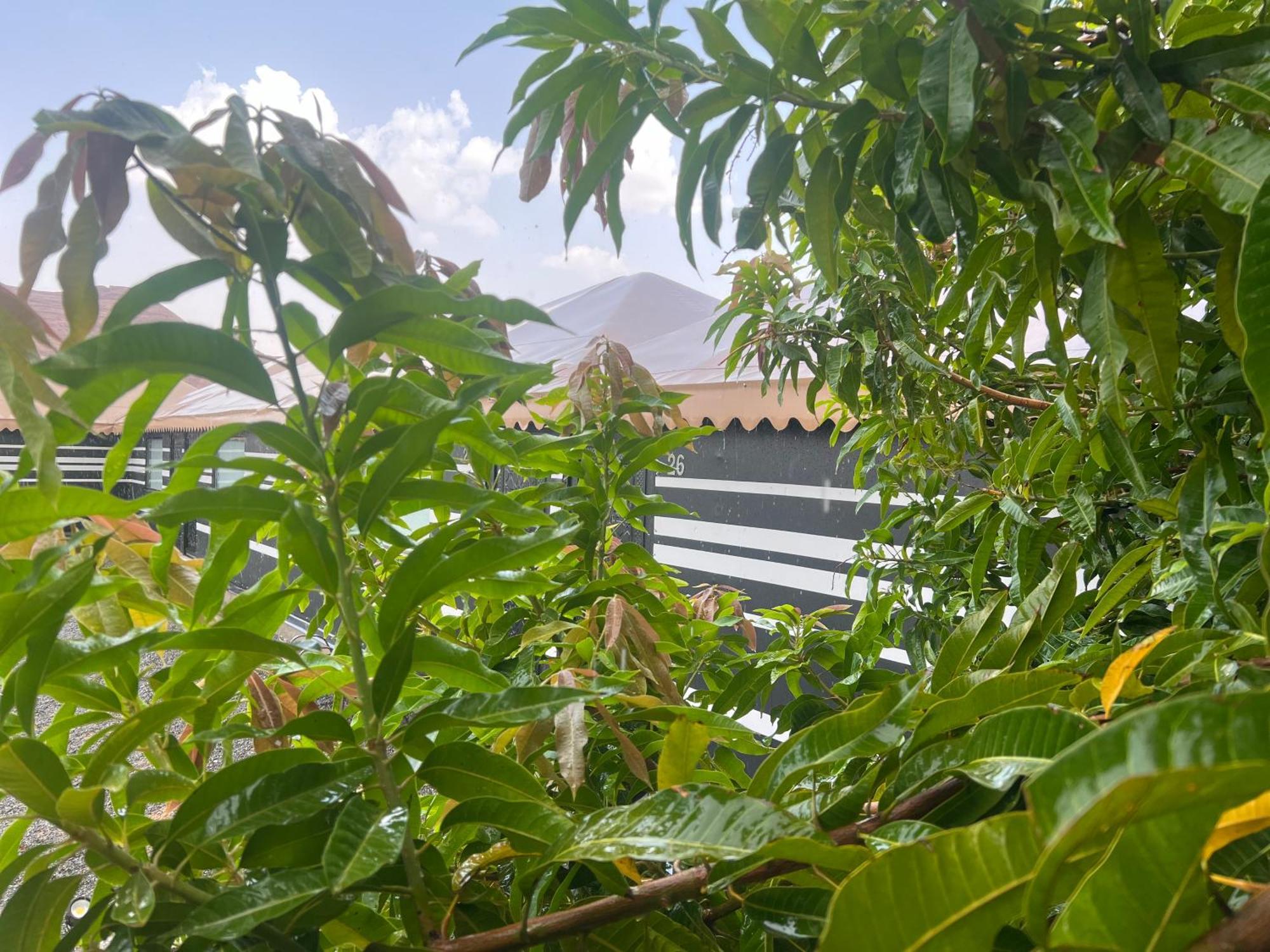 Apartment مزرعةبرتقالorange Farm Al Ula